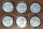 1 Oz American Eagle Bu  2025  - Lot Of 5
