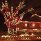 25  Commercial Led Christmas Lights Mini Lights  50 Lights White Multi Red Green