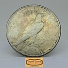 1921-1935 Random Year Cull Peace Silver Dollar  Full Dates  No Holes -  d9