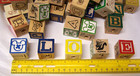 15 Wood  Abc Blocks Parrot Bird Toy Parts Wood Blocks Wooden 1-1 8  W  Hole 