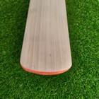 Puma Iridium 4000 English Willow Cricket Bat Mens Sh New