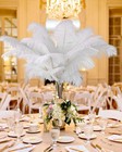 Natural White Large Ostrich Feathers 28 Inch Long Vase Craft Decor 10 Pcs