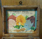 Antique Lake Shore Seed Company Dunkirk Ny Sweet Peas Dovetail Wood Seed Box