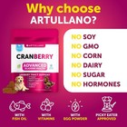 Cranberry Chews For Dogs Dog Cranberry Supplement For Urinary Health Cranberry
