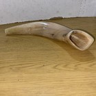 Kosher Polished Ram s Horn Shofar 11    Jewish Instrument