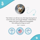 Natural Dog Eye Infection Treatment