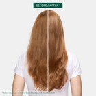 Biolage Color Last Shampoo - For Color-treated 13 5 Fl Oz  pack Of 1   White