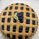 Blueberry Pie Recipe Pie Pan Dish Scalloped Edge With Lid Universal Trumps Corp