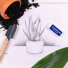 Staedtler Mars Plastic Erasers 4pk Vinyl White Latex Free Minimal Crumble