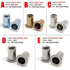 20pcs Blind Hex Rivet Nuts Flat Head Insert Rivet Nuts Sizes M3 M4 M5 M6 M8 M10
