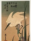 Hiroshige Utagawa Ukiyo-e Woodblock Print    white Heron And Iris   