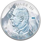 2024  5 Natural Disasters Avalanche Canada Maple Leaf 1oz 999 9 Silver Lot 822