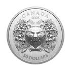 2025 Proof  50 Canadian Silver Heraldic Bear Ogp   Coa