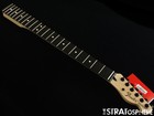 Fender Jim Root Telecaster Tele Neck   Locking Tuners  Ebony  c  12  Radius
