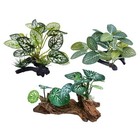  Artificial Fish Tank Plants Silk Aquarium Plant Aquatic 3pcs Green Grasses