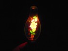 Vintage 1930 s Aerolux Style Duro-lite Neon Chimney Field Flower Rose Light Bulb
