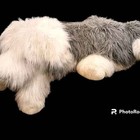 48  Plush Old English Sheepdog