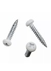 8x1  Pan Head Metal Rv Screws Polar White 100 Pack Factory Finish Free Shipping