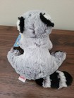 Ganz Webkinz Raccoon Hm143 Plush Stuffed Animal New With Sealed Unused Code Nwt