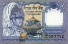 Nepal 1 Rupees  nd 1995  - P37 King Birendra musk Deer  Signature 13 Unc