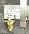 Natural Gold Nugget 1 63g Alaskan Placer Specimen