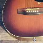 Art   Lutherie Acoustic Guitar Ami Cedar Antique Burst W  Seagull Carrying Case 