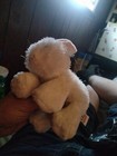 Webkinz Ganz Bunny