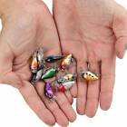 10pcs Fishing Lures Lots Of Mini Minnow Fish Bass Tackle Hooks Bait Crankbait