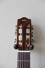 Brand New Cordoba C7 Cedar Top Classical Guitar With Gig Bag