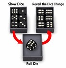 Magic Dice Prediction Trick Set     Quick Change Illusion     Easy Magic Trick