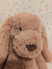 Jellycat Bashful Toffee Dog Puppy Brown Tan 12  Plush Stuffed Animal