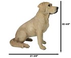 Large Realistic Lifelike Yellow Labrador Retriever Statue 21 h Golden Retriever