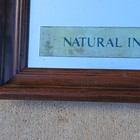 Vtg 1980s Busch Beer Mirror Wood Frame 24  X 20 5  Advertising Sign Man Cave  Bw