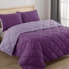 3pc Reversible Comforter Set Quilted Down Alternative All Season Comforter