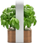 Refurbished Edn Hydroponic Indoor Garden Kit - Grow Herbs   Plants
