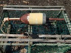 Free Ship 224 Maine Lobster Buoy Nautical Pot Bouy Float Shore Crab Lake Cape