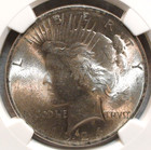 1924 P Peace Silver Dollar Ngc Ms63 Uncirculated  1 Coin Buy It Now 