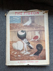 Autographed Wwii Us Navy Army Signal Corps The Pigeon Wendell Mitchell Levi