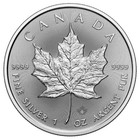 Tube Of 25 X 1 Oz 2025 Maple Leaf Silver Coin   new   999 - Royal Canadian Mint