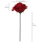 Larksilk Silk Carnation Artificial Flowers 18in Burgundy 50 Pcs