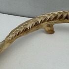 Shark Jaw Teeth Mouth Skull Taxidermy Fish Nautical 12    Long 10    Tall