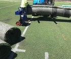 Turf Blowout  New   Used Turf     Crazy Low Prices     Alpine  -  won t Last 