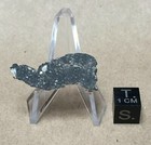Meteorite  nwa 10253   Lunar Moon Rock 1 1 Gram