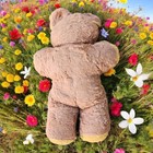 1950s Vintage Rubber Nose Teddy Bear Musical Ribbon Googly Eyes