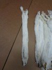  2 Quality L Tanned Short Tail Ermine weasel fur crafts trapping 