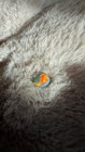 2 3ct Australian Semi-black Opal     Chinese Script Pattern   Natural Solid Opal