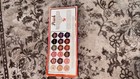 Too Faced Sweet Peach      18 Colors Eyeshadow Palette Full Size new In Box