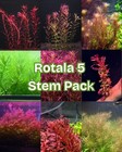 Rotala 5 Stem Pack - Freshwater Fish Tank Shrimp Tank Rotala Stem Plants