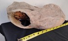 Driftwood With Large Hole Wood Working Craft   Decor Piece
