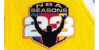 Printed Iron On Patch La Lakers Lebron James 23 Nba Seasons Los Angeles Lal